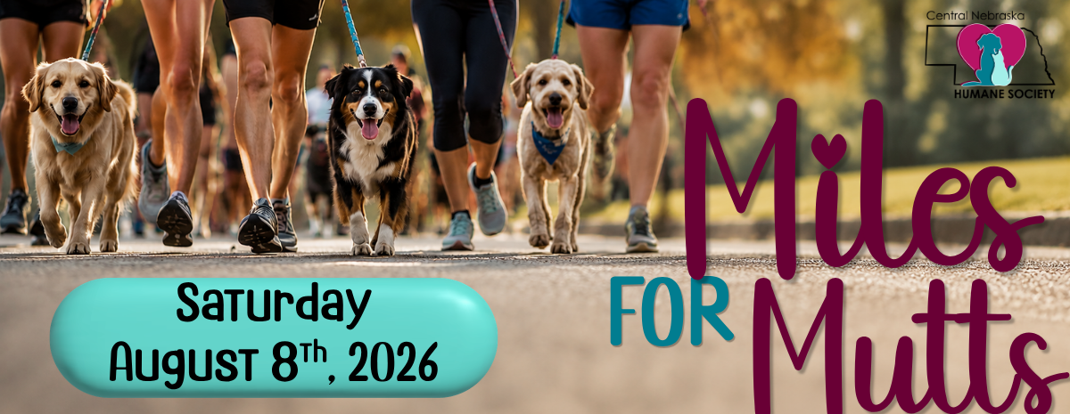 Miles for Mutts
